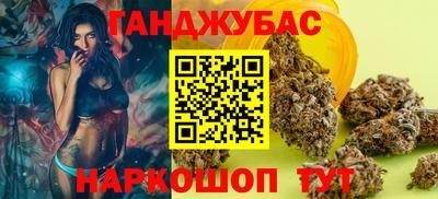 сатива Малгобек