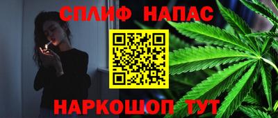 сатива Малгобек