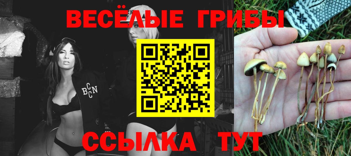 Псилоцибиновые грибы ЛСД  Вход с VPN  Комсомольск-на-Амуре 